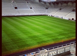 /images/stade/paris-stade-jean-bouin/juin-2013/pelouse-stade-jean-bouin-paris.jpg