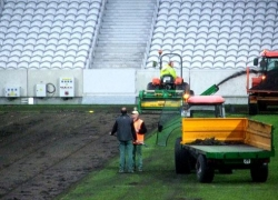 /images/stade/pelouse-lille-changee.jpg