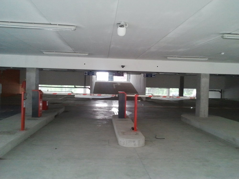 actu stade losc fanlosc