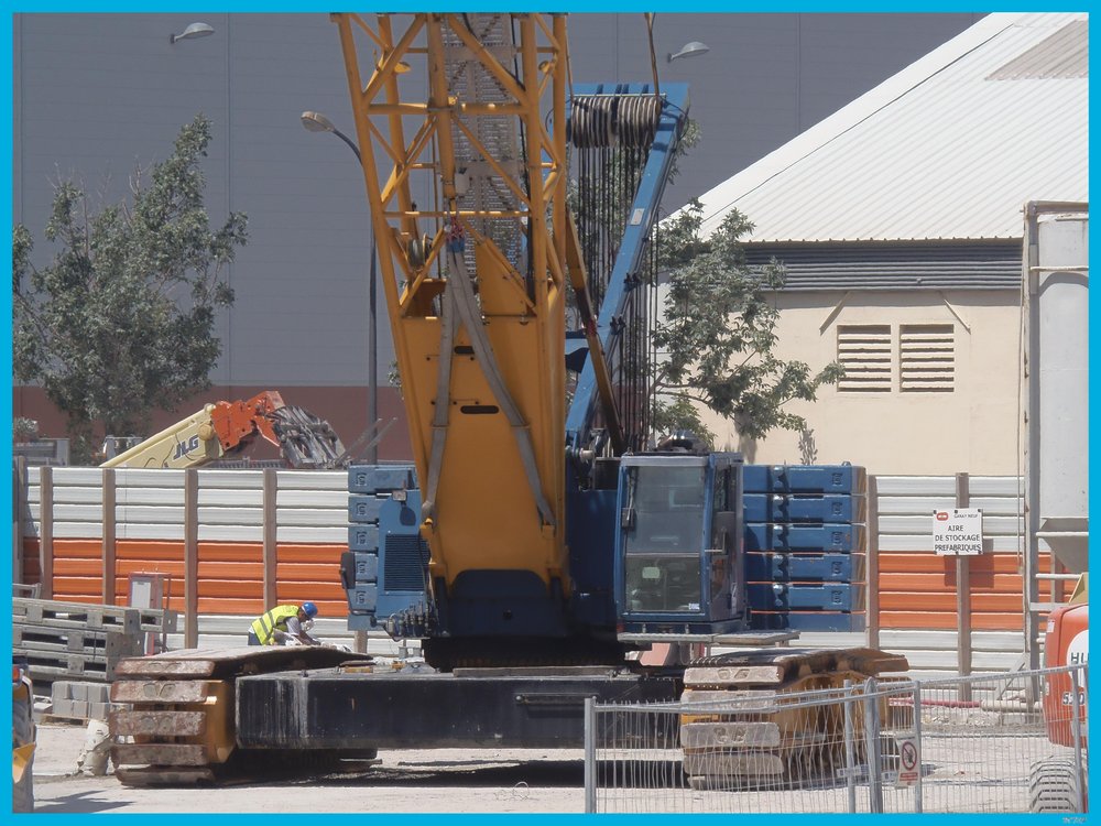 C'est la chenille.JPG