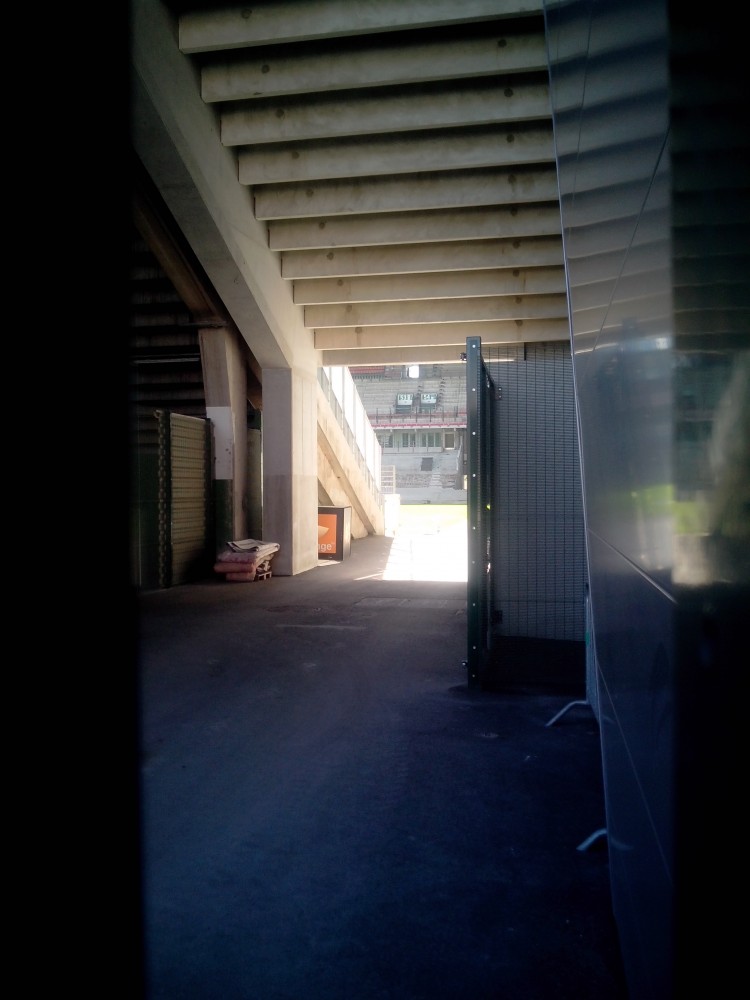 On distingue en bas de faurand les premiers rangs.