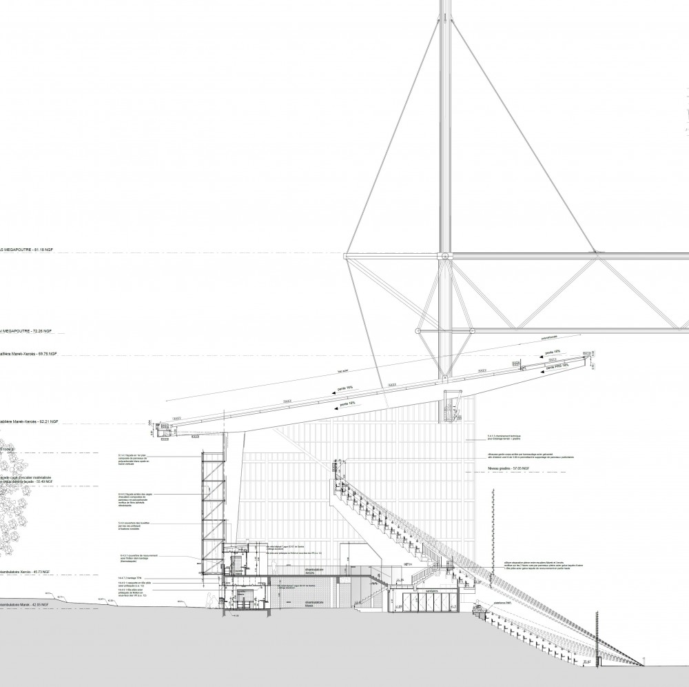 extension Marek et Xerces coupe.JPG